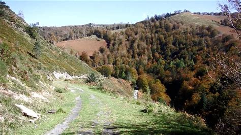 ruta errekaidorra|Ruta Errekaidorra. Selva de Irati. Ochagavía. Trail